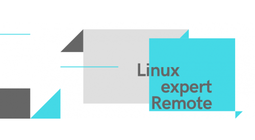 Linux expert-100% remote