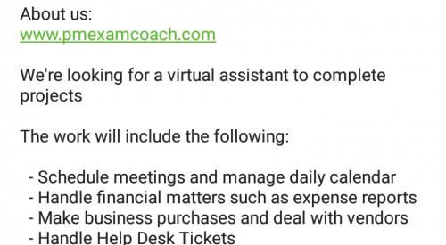 We are looking for a virtual assistant
