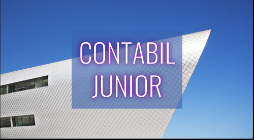 Contabil Junior