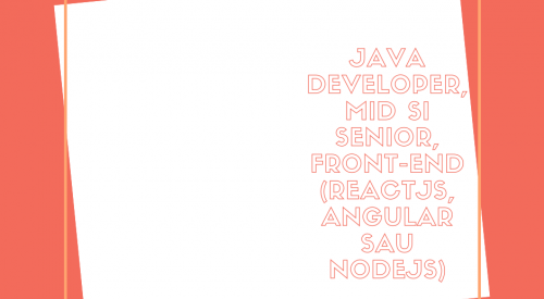 Java developer, mid si senior, Front-End (ReactJs, Angular sau NodeJs)
